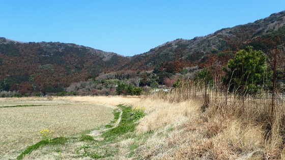 フチグロトゲエダシャクの生息環境
