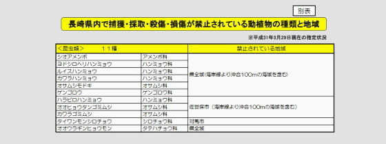 長崎県指定 採集禁止昆虫