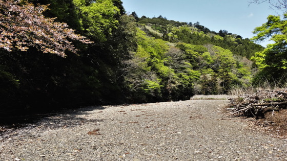 アイヌハンミョウの生息地