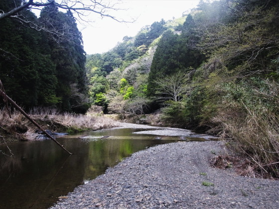 アイヌハンミョウの生息地
