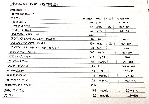 血液検査結果