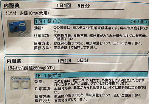薬の説明