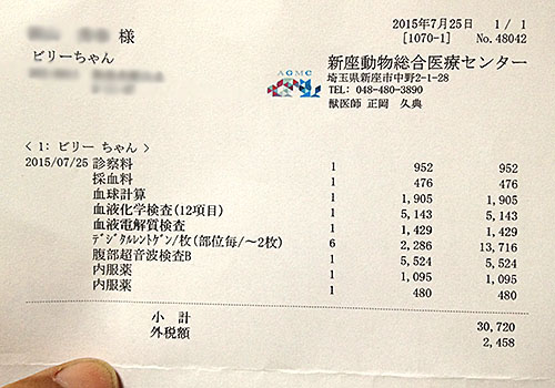 料金明細