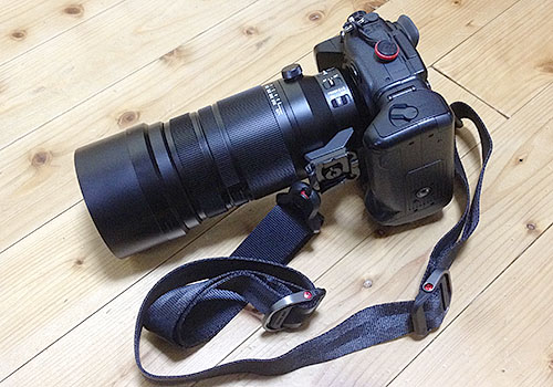 100-400mmにつけてみた