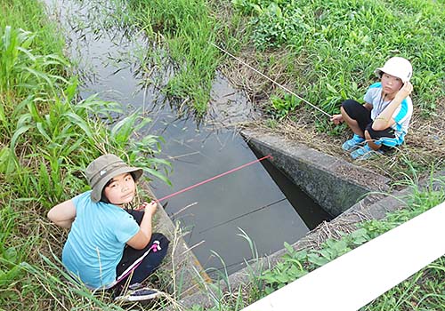小鮒釣り
