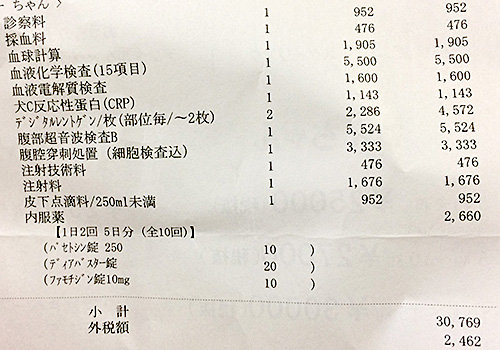 料金明細