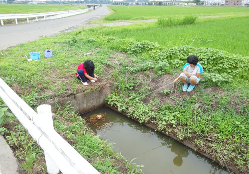 小鮒釣り