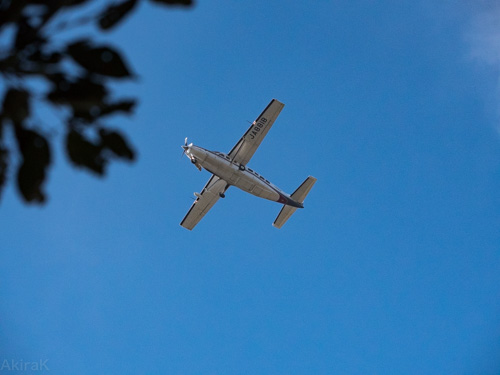Cessna 208B
