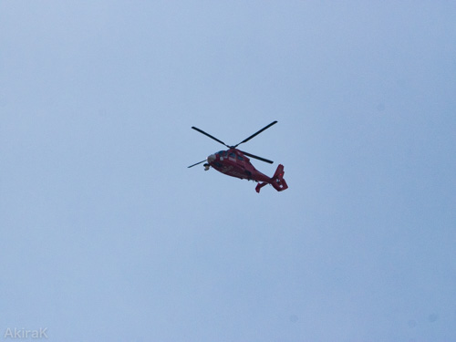 AS365N3