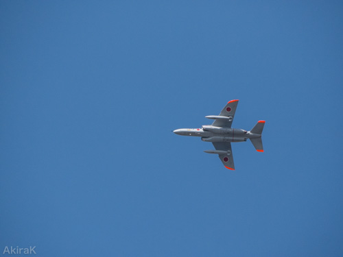 T-4