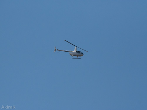 R66