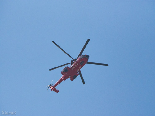 EC225