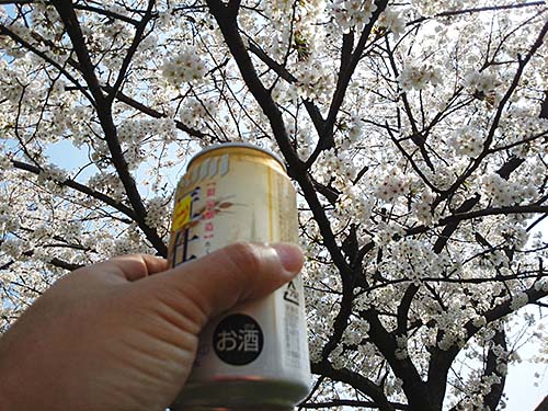 花見