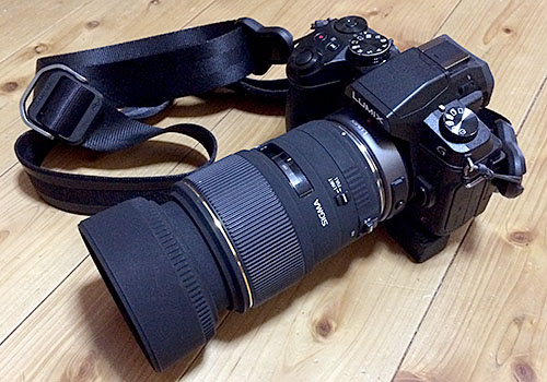 G8+SIGMA105mm