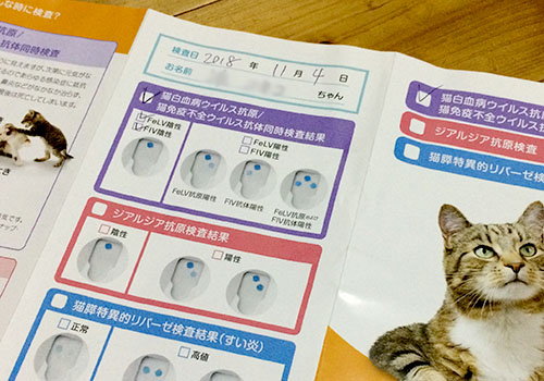 検査結果