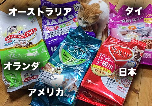 猫エサ