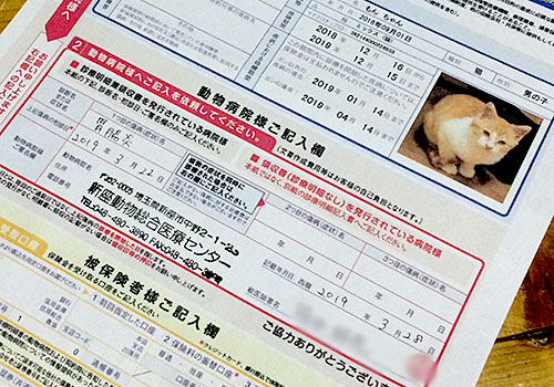 申請書
