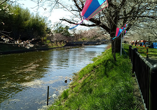 福岡堰近く