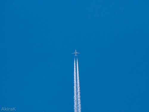 B737
