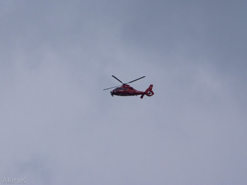 AS365N3