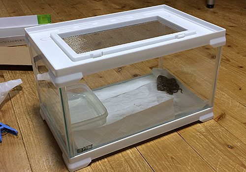 ケース