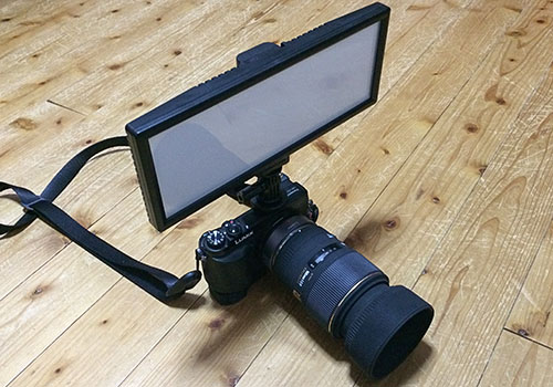 L132T