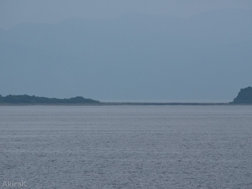 ダッシュ島
