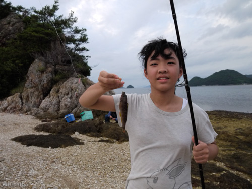 ベラ