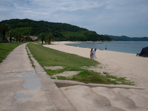 海岸