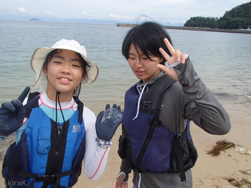 クラゲ