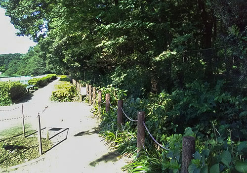 遊歩道