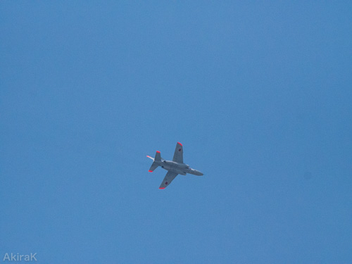 T-4