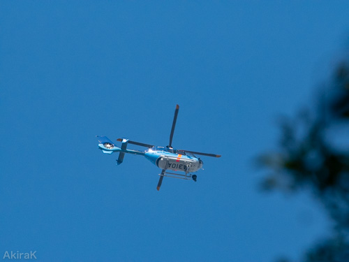 EC135