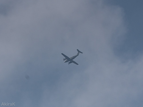 C-12