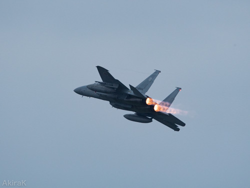 F-15J