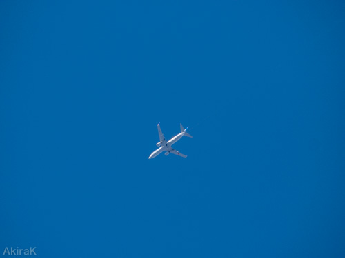 B737