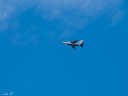 T-4