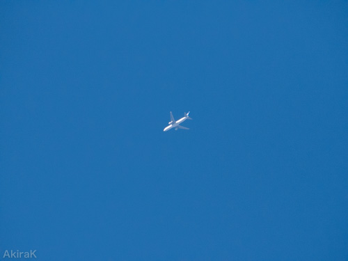 B767