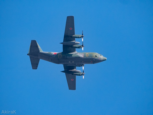 C-130H