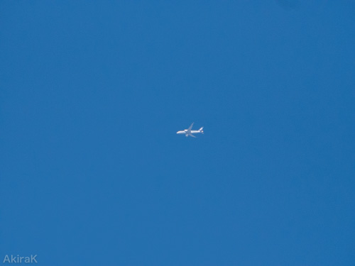 B787