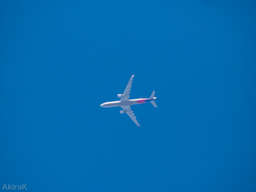 A330