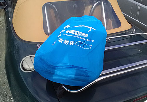 袋入