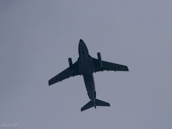 C-1