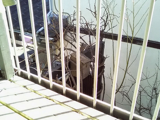 設置状態