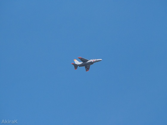 T-4