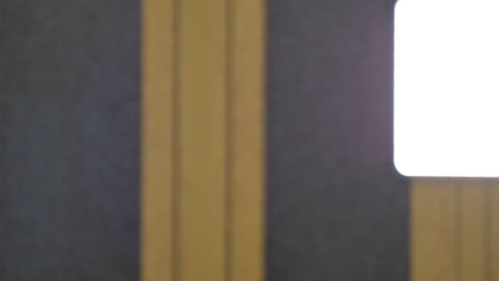 無し