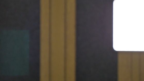 純正
