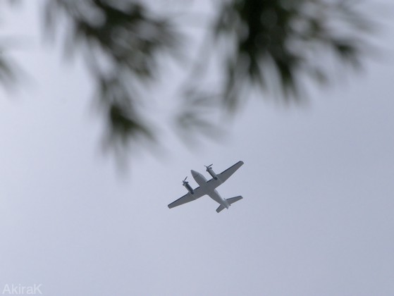 C-12