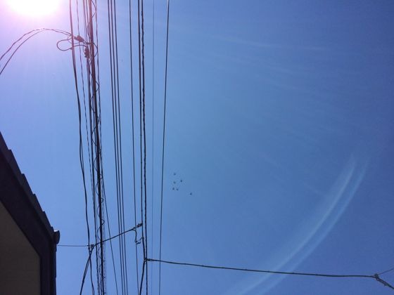 ブルー1