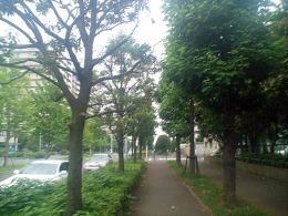GPS感度03